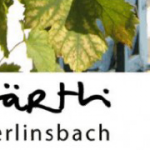 Mitgliederversammlung Trägerverein KBZ Wygärtli